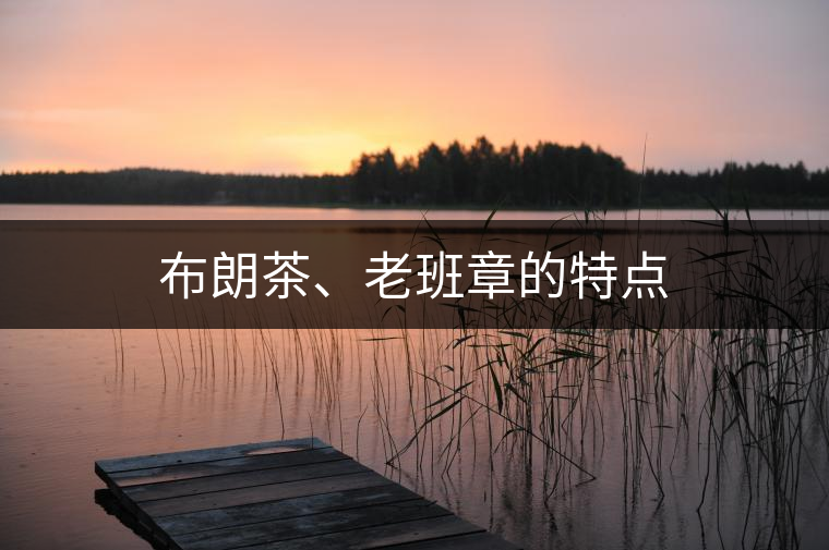 布朗茶、老班章的特點