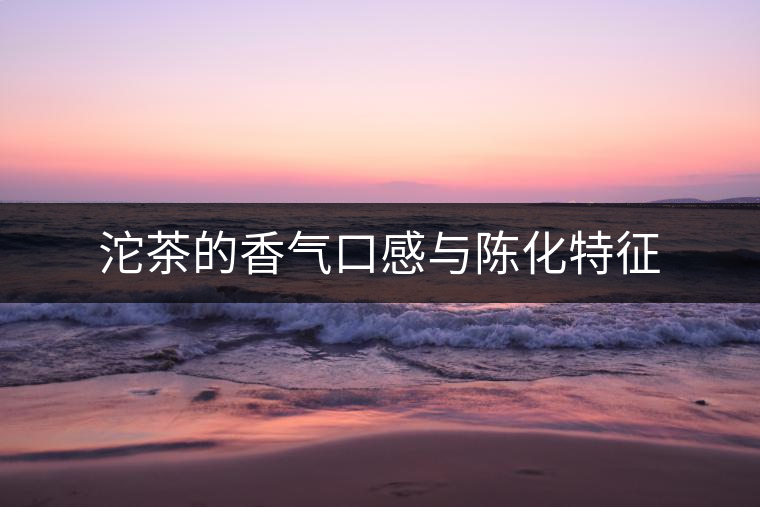 沱茶的香氣口感與陳化特征 沱茶的香氣口感與陳化特征