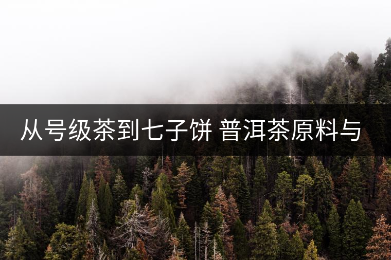 從號級茶到七子餅 普洱茶原料與制程的演變