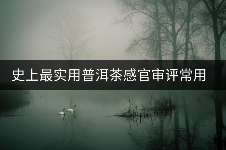 史上最實(shí)用普洱茶感官審評常用術(shù)語大全