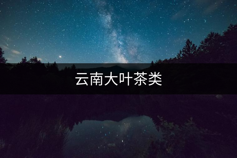 云南大葉茶類(lèi)