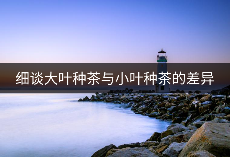 細談大葉種茶與小葉種茶的差異