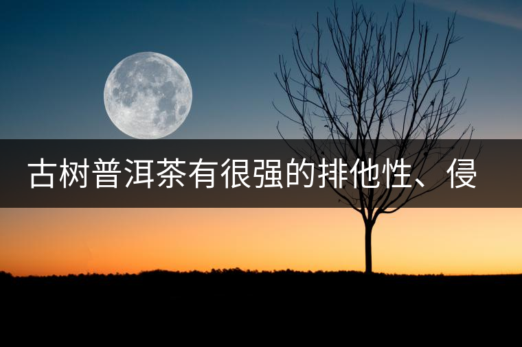 古樹普洱茶有很強的排他性、侵略性、吸納性
