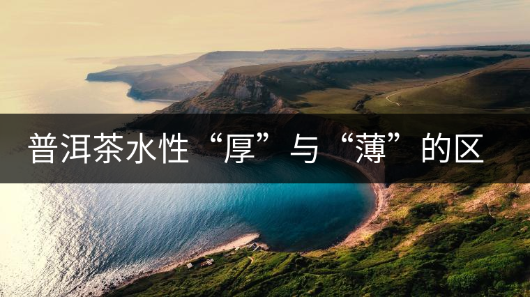 普洱茶水性“厚”與“薄”的區(qū)別 普洱茶水性“厚”與“薄”的區(qū)別