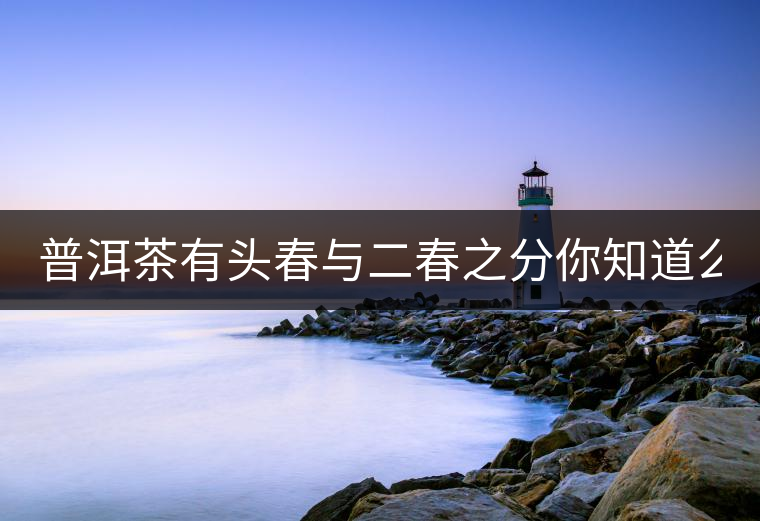 普洱茶有頭春與二春之分你知道么？