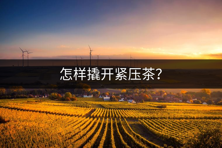 怎樣撬開緊壓茶？