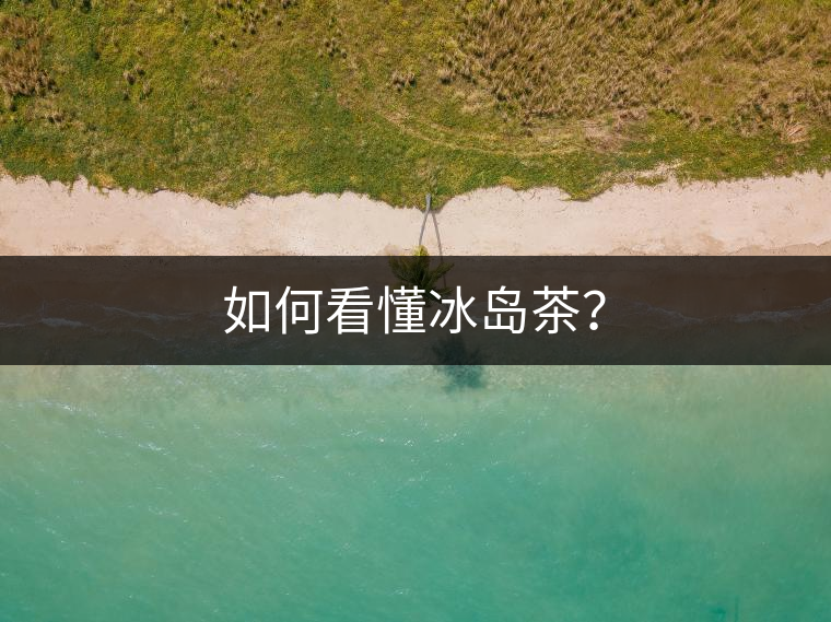 如何看懂冰島茶？