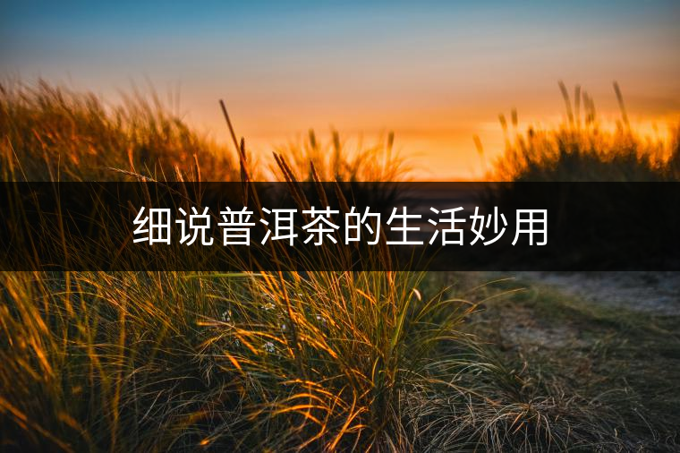 細(xì)說普洱茶的生活妙用 細(xì)說普洱茶的生活妙用