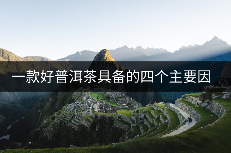 一款好普洱茶具備的四個(gè)主要因素