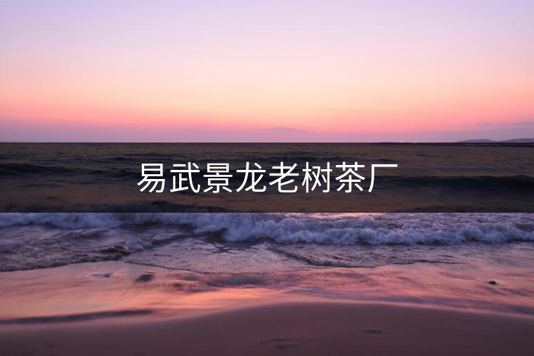 易武景龍老樹(shù)茶廠