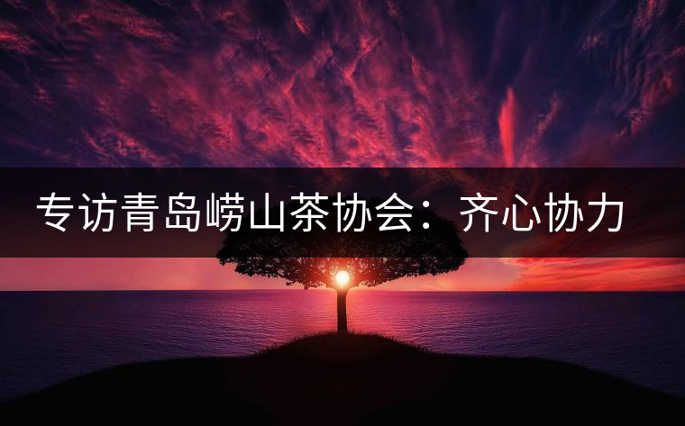 專訪青島嶗山茶協(xié)會:齊心協(xié)力共謀茶壇盛事 專訪青島嶗山茶協(xié)會:齊心協(xié)力共謀茶壇盛事