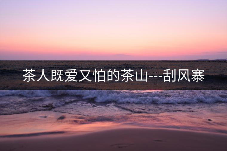 茶人既愛又怕的茶山---刮風(fēng)寨