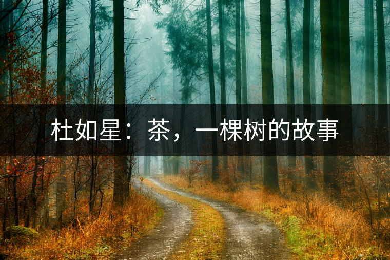 杜如星：茶，一棵樹的故事