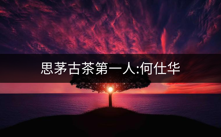 思茅古茶第一人:何仕華