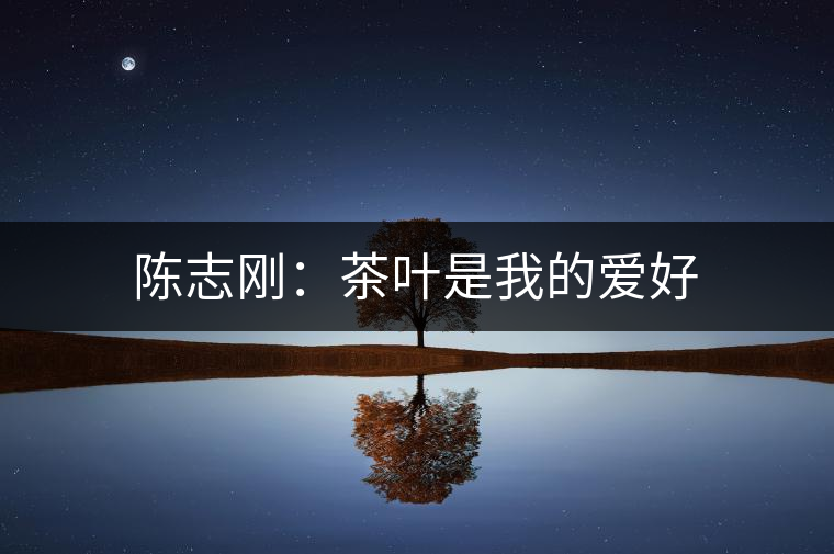 陳志剛:茶葉是我的愛(ài)好 陳志剛:茶葉是我的愛(ài)好