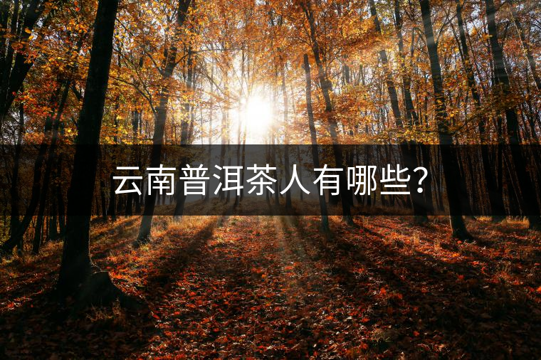 云南普洱茶人有哪些？