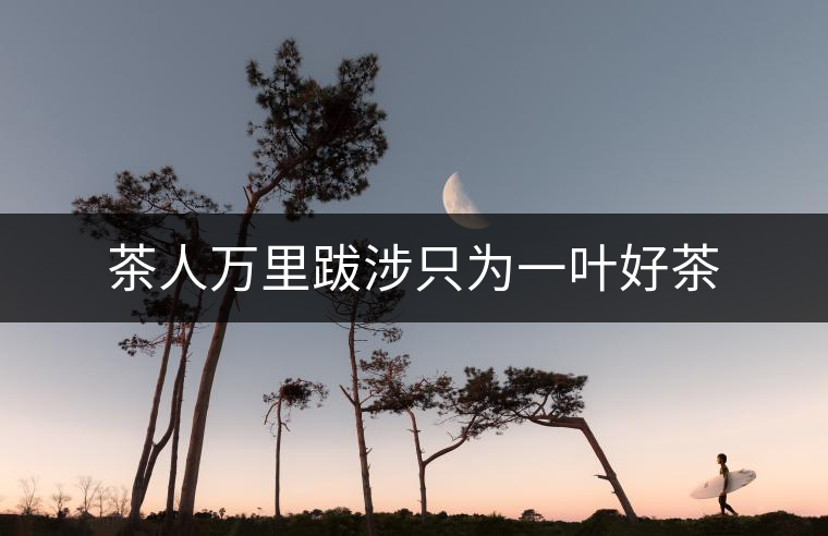 茶人萬(wàn)里跋涉只為一葉好茶
