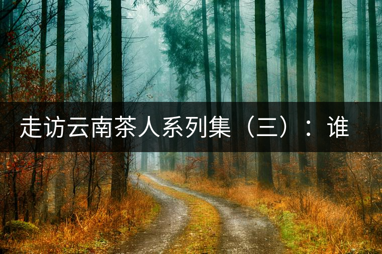 走訪云南茶人系列集（三）：誰說普洱不產(chǎn)茶？——張順高