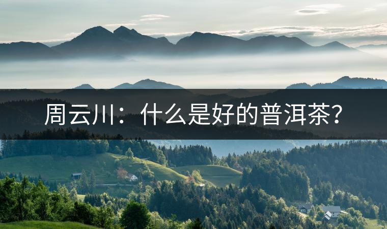 周云川：什么是好的普洱茶？