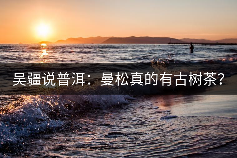 吳疆說普洱：曼松真的有古樹茶？