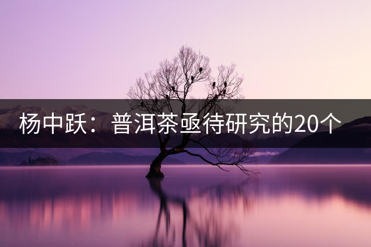 楊中躍:普洱茶亟待研究的20個(gè)問(wèn)題 楊中躍:普洱茶亟待研究的20個(gè)問(wèn)題
