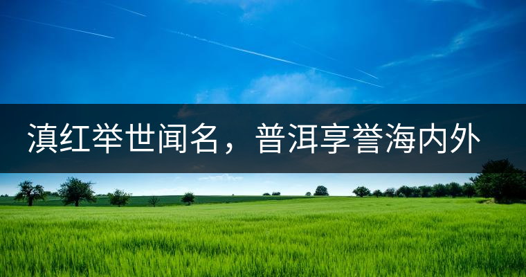 滇紅舉世聞名，普洱享譽(yù)海內(nèi)外丨專家座談——虞富蓮