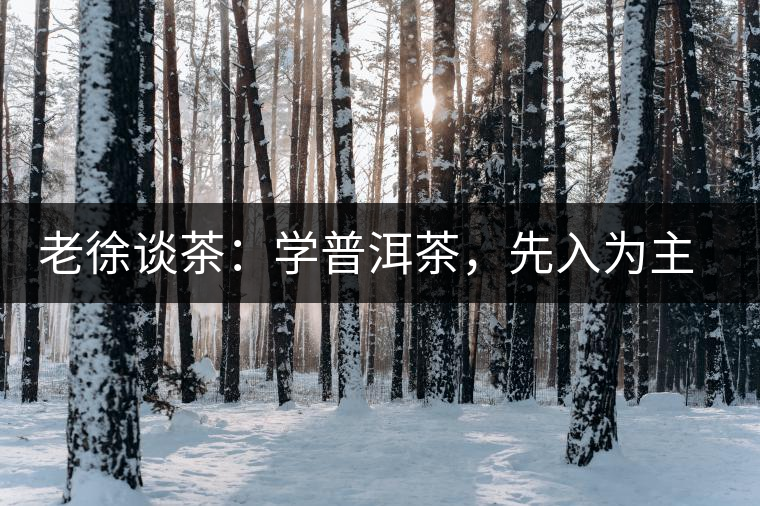 老徐談茶：學(xué)普洱茶，先入為主易被打臉，還得實(shí)踐出真知！