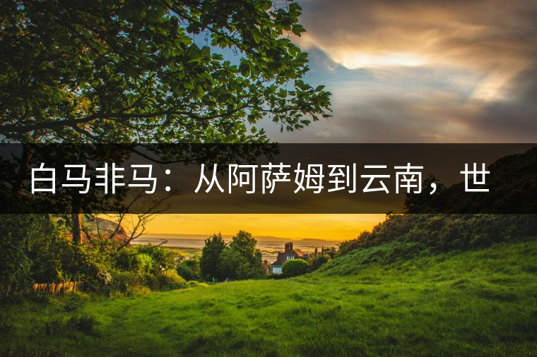 白馬非馬：從阿薩姆到云南，世界茶樹起源爭論的誤區(qū)