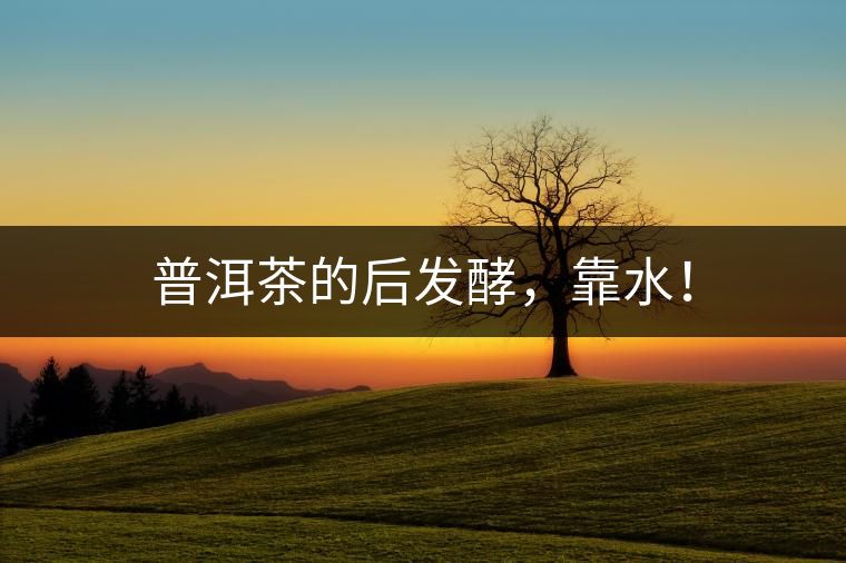 普洱茶的后發(fā)酵，靠水！