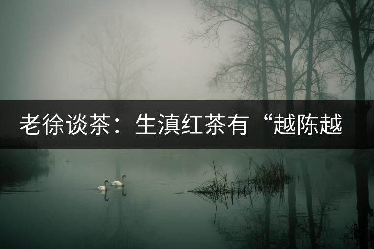 老徐談茶：生滇紅茶有“越陳越香”的特點嗎？