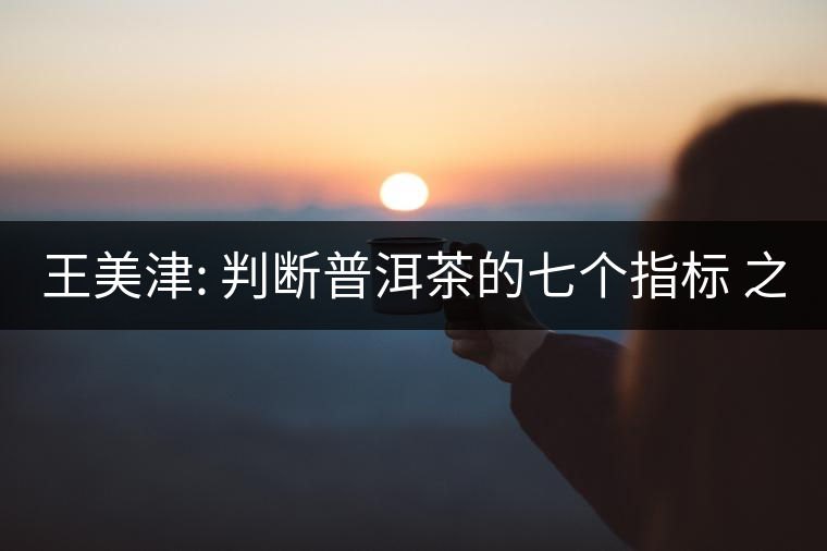 王美津: 判斷普洱茶的七個(gè)指標(biāo) 之七: 韻