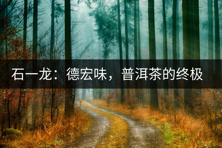 石一龍：德宏味，普洱茶的終極意境