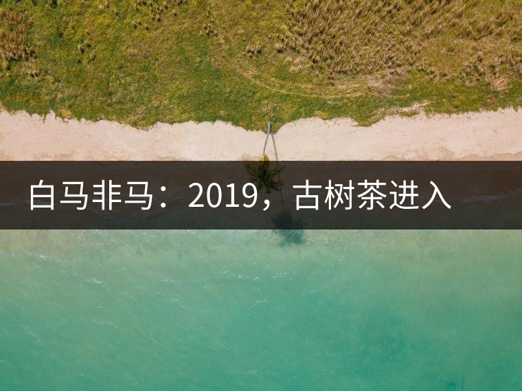 白馬非馬：2019，古樹茶進(jìn)入醇料時(shí)代