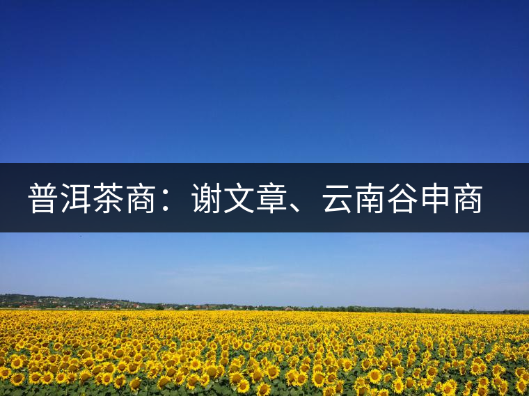 普洱茶商：謝文章、云南谷申商貿(mào)有限公司總經(jīng)理