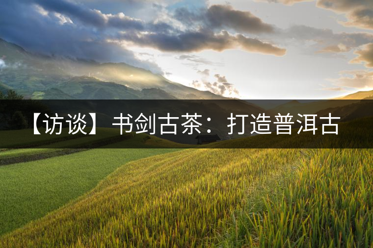 【訪談】書(shū)劍古茶:打造普洱古樹(shù)茶品質(zhì)江湖 【訪談】書(shū)劍古茶:打造普洱古樹(shù)茶品質(zhì)江湖