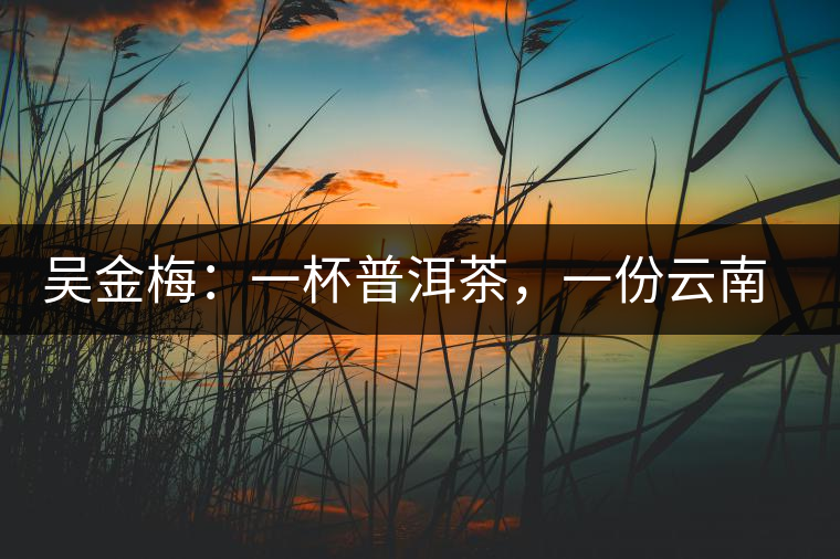 吳金梅：一杯普洱茶，一份云南情