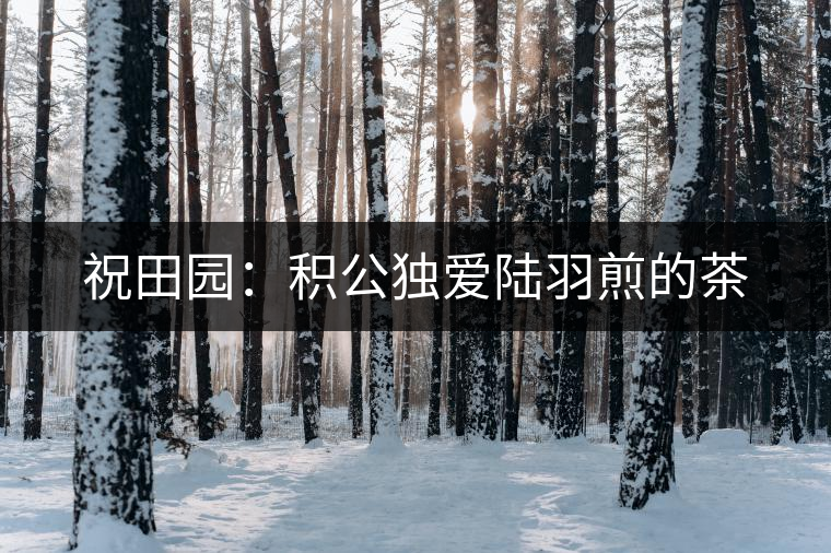 祝田園：積公獨(dú)愛陸羽煎的茶