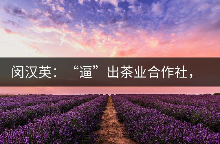 閔漢英：“逼”出茶業(yè)合作社，帶領(lǐng)村民走上致富路