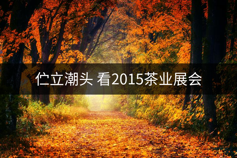 佇立潮頭 看2015茶業(yè)展會(huì) 佇立潮頭 看2015茶業(yè)展會(huì)