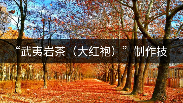 “武夷巖茶(大紅袍)”制作技藝的唯一女傳承人游玉瓊 “武夷巖茶(大紅袍)”制作技藝的唯一女傳承人游玉瓊