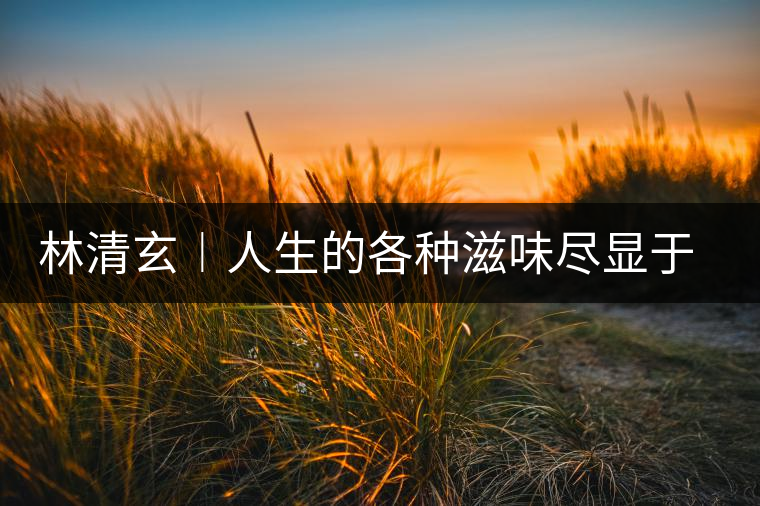 林清玄︱人生的各種滋味盡顯于茶 林清玄︱人生的各種滋味盡顯于茶