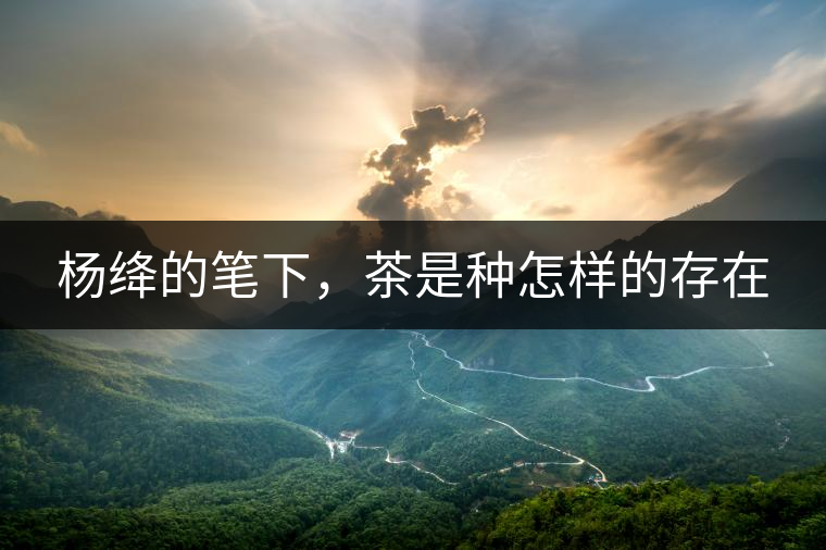 楊絳的筆下，茶是種怎樣的存在