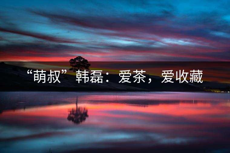 “萌叔”韓磊：愛茶，愛收藏