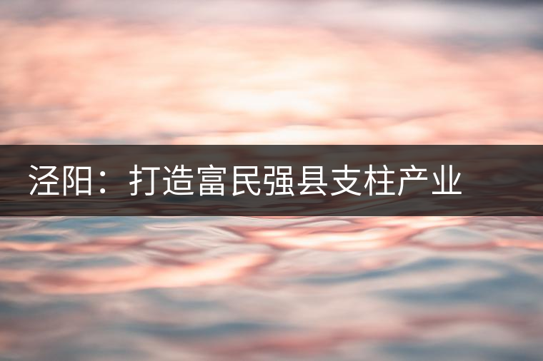 涇陽(yáng):打造富民強(qiáng)縣支柱產(chǎn)業(yè) ——訪陜西省涇陽(yáng)縣副縣長(zhǎng)謝保衛(wèi) 涇陽(yáng):打造富民強(qiáng)縣支柱產(chǎn)業(yè) ——訪陜西省涇陽(yáng)縣副縣長(zhǎng)謝保衛(wèi)