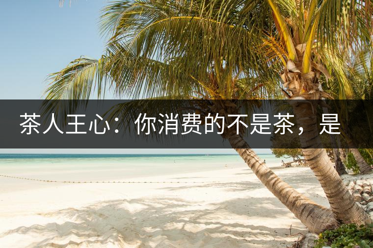 茶人王心：你消費的不是茶，是我