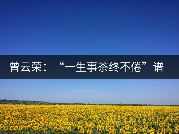 曾云榮：“一生事茶終不倦”譜寫絢麗人生