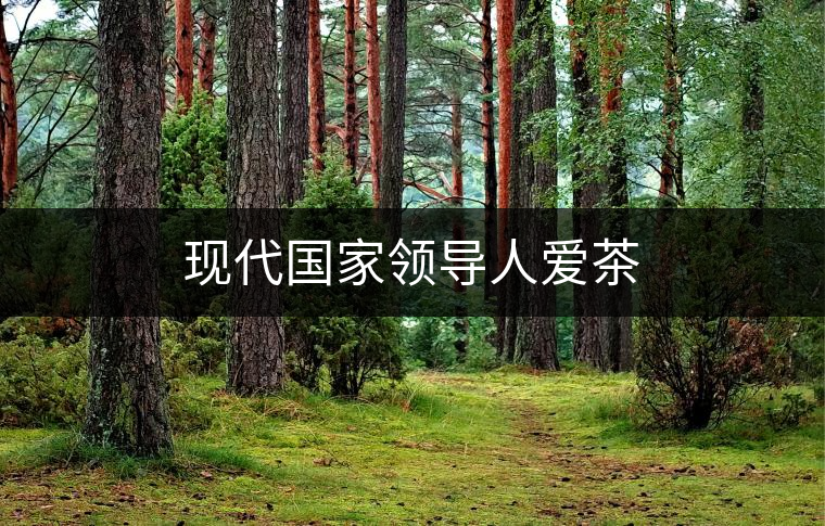 現(xiàn)代國(guó)家領(lǐng)導(dǎo)人愛茶 現(xiàn)代國(guó)家領(lǐng)導(dǎo)人愛茶