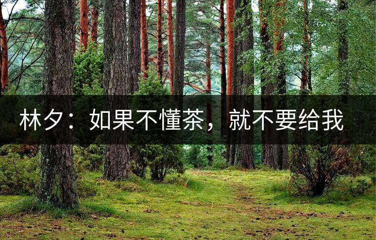 林夕：如果不懂茶，就不要給我送茶