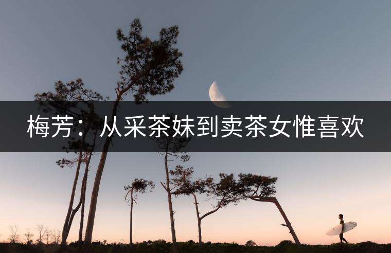 梅芳:從采茶妹到賣(mài)茶女惟喜歡 梅芳:從采茶妹到賣(mài)茶女惟喜歡