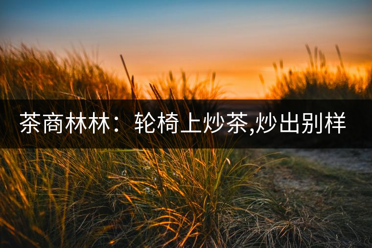 茶商林林：輪椅上炒茶,炒出別樣的一生！